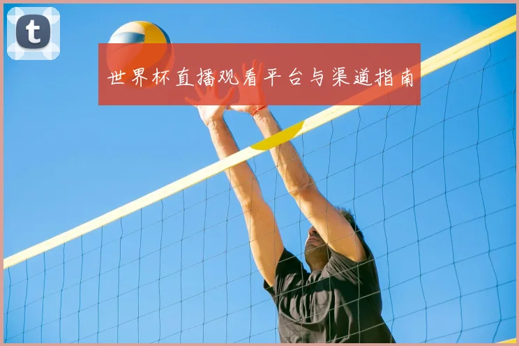 世界杯直播观看平台与渠道指南