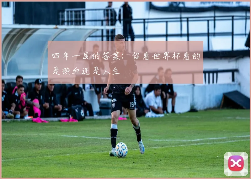 四年一度的答案：你看世界杯看的是热血还是人生